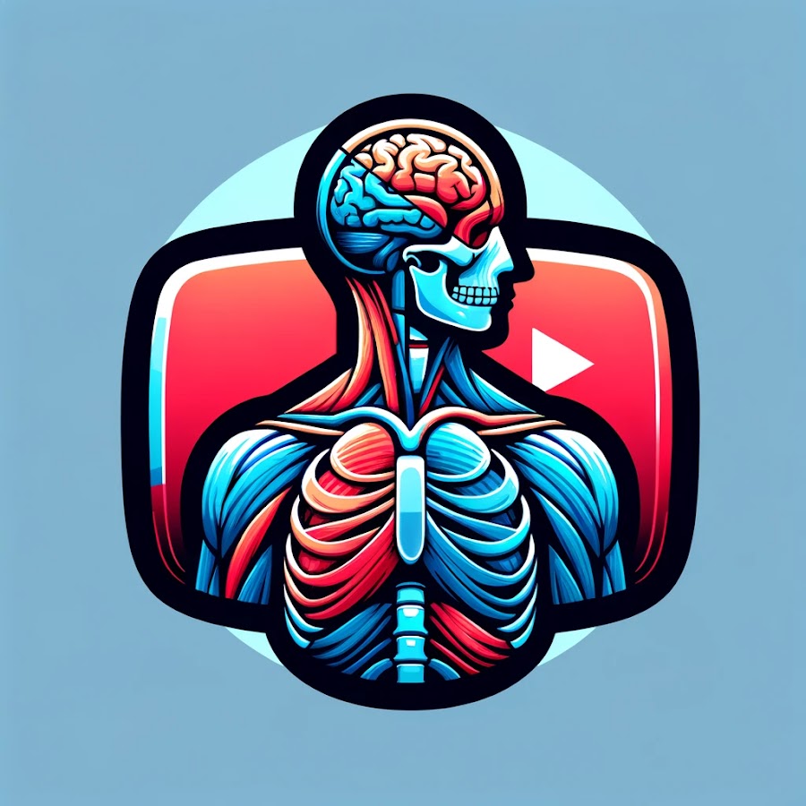 Human Anatomy Education